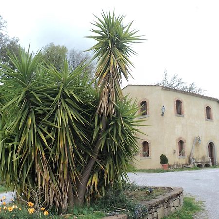 Vila Agriturismo Il Daino San Piero Patti Exteriér fotografie