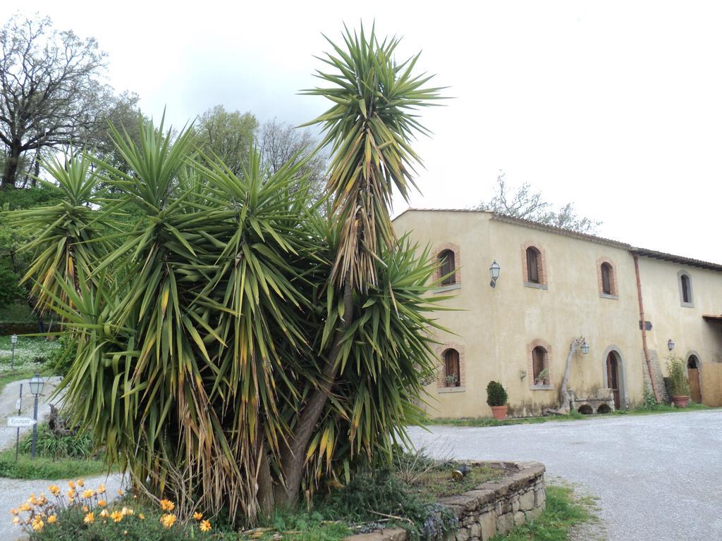 Vila Agriturismo Il Daino San Piero Patti Exteriér fotografie